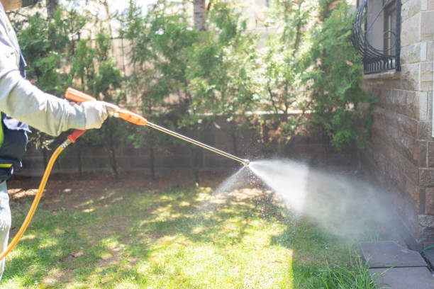 Wildlife Control Services in High Bridge, WA